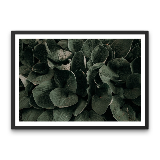 Green Leaves Black Frame