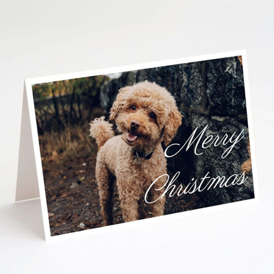 Christmas Calligraphic 