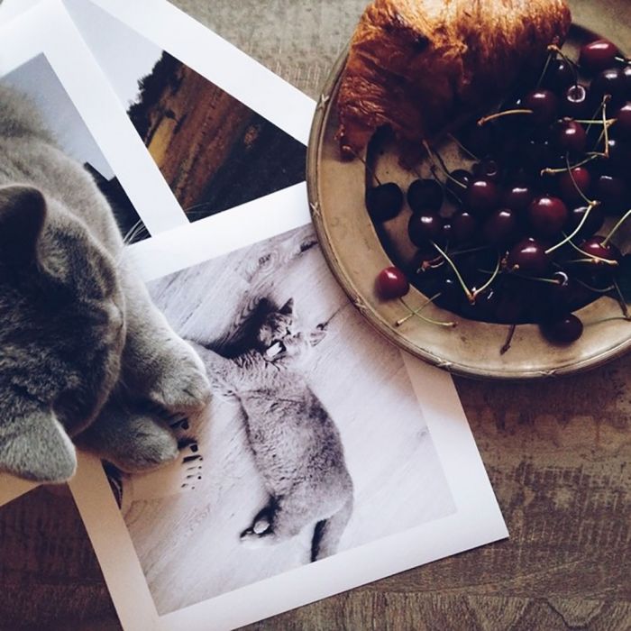Instagram Fine Art Print